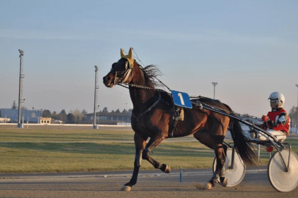 couple kado || couplekado